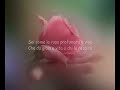 dedica dedica