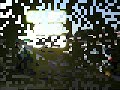 LSturbo Sept1 MRP Compilations