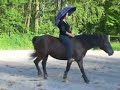 keine angst vor regenschirmen keine angst vor regenschirmen