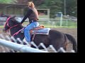 Katie Smith On Dennis Barrel Racing Katie Smith On Dennis Barrel Racing
