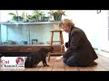 Cat Clicker Training 2: Touch the Target - CatChannel.com