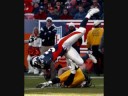 Troy Polamalu A Strong Safety Legend