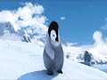 Happy Feet Macarena Move Happy Feet Macarena Move