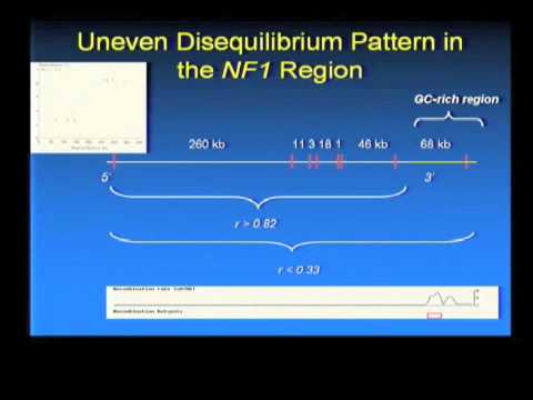 Introduction to Population Genetics (2010)