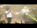 Plastic tree - Cream live (Kuro tent 2)
