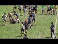 Ver Video