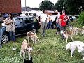 puppydag 2007 puppydag 2007