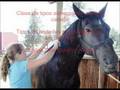 Curso de Verano con Caballos Hipico Tepepan