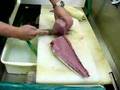 FISH  kihada maguro 11,7KG sushi tuna part  2