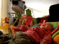 Le petit rire de Faustine (1er avril 2011)