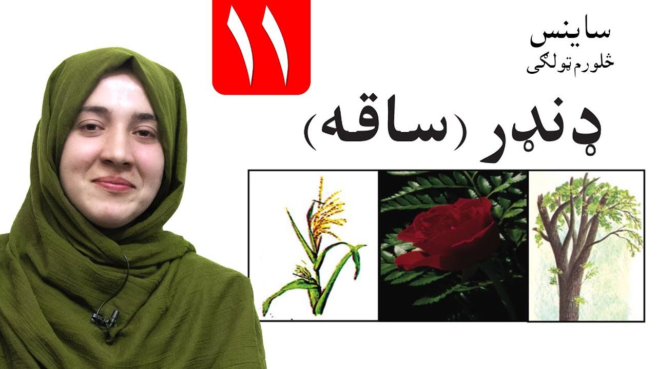 LESSON 11 _ Grade 4 SCIENCE / لوست ۱۱ ـ د ساینس مضمون ـ څلورم ټولګی