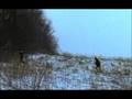 Trailer Raccoon