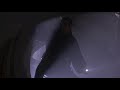 The Fugitive (1993)