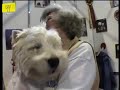 How to Choose a Dog