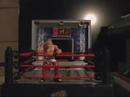 awf micro talent show