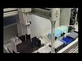 SGIker DNA Bankua UPV/EHU