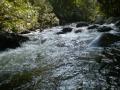 Gloucester River Nov 09