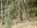 Talybont DH