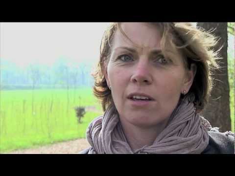 Annet van Summeren: ook de schoolleiding mag ondernemen ...