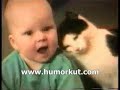 Gato cassetadas