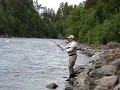 Fiskar av campinghålan i Trones