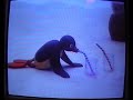 PINGU - fylle fest