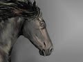 Dark Horse by David Lanz Dark Horse by David Lanz
