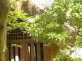 videos de Isuien Garden Nara