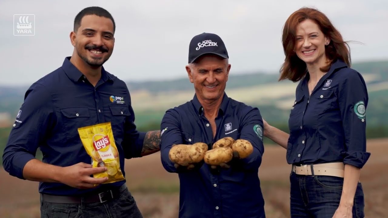 Yara Brasil e PepsiCo: parceria inédita para reduzir emissões na produção de batatas 🥔