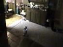 SANTOS VS. R2-D2