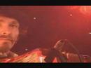 Magpie Magpie