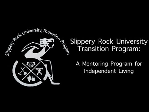 how to provide mentoring support