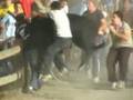 Attention !!! Danger !!! Taureaux 2 !!!!     (prochainement)