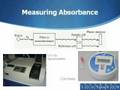 Theory of absorbance video