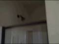 videos de StoneGate Model