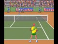 just tennis, but at least the hardcore ocean came by. david crane's amazing tennis (snes) jimmy connors pro tennis tour (snes)
