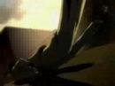 Death Note MV Death Note MV