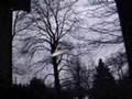 A Real UFO!?