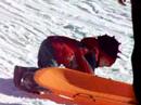 Son Sledding