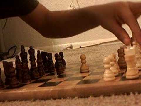 instant checkmate