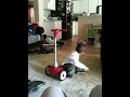 Scooter Happiness