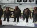 Some crazy Apes dancing Riverdance! ^^