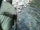 backcountry angling patagonia chile