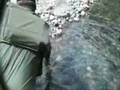 Backcountry Angling Patagonia Chile - YouTube