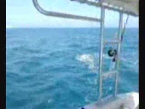 kuwait Trolling By Lolo Team 29-2-2008
