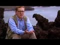 Volcanic collapse- Mega Tsunami - BBC