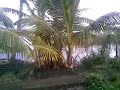 Kumarakom Island Kumarakom Island