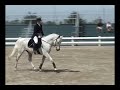 Azteca Horse
