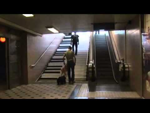 WATCH: Stairs Made FUN!
