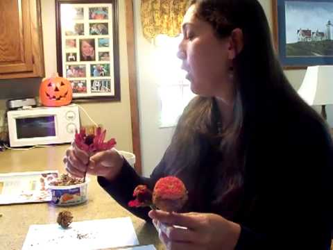 how to collect zinnia flower seeds
